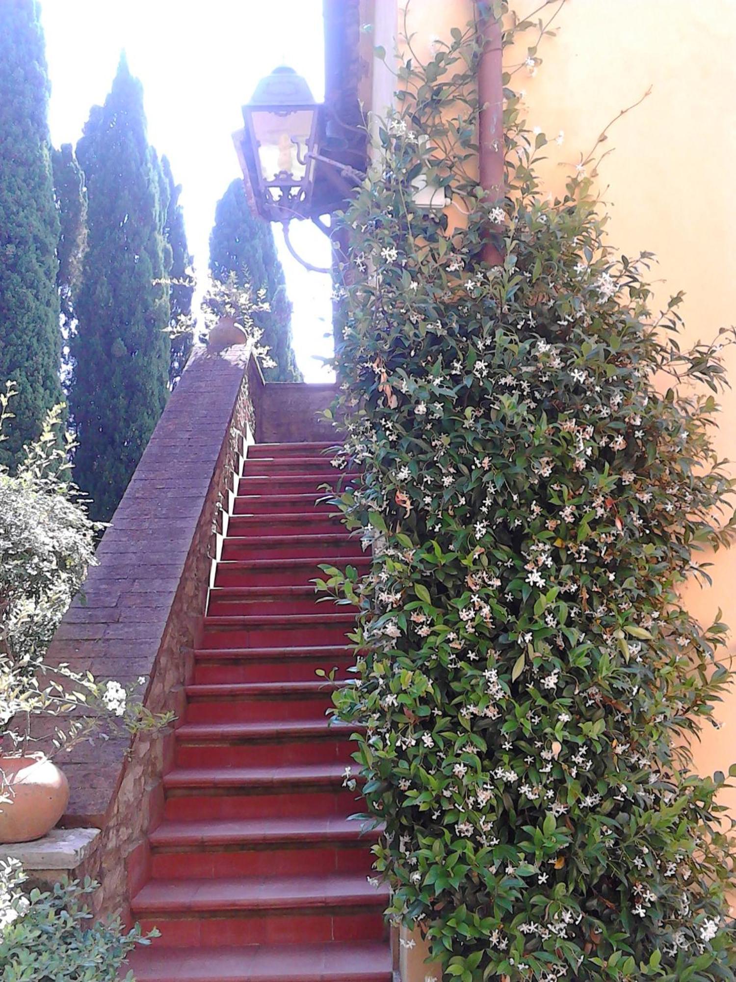 Tenuta La Bandita ซัสเซ็ตตา ภายนอก รูปภาพ